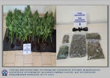 Πτολεμαΐδα: Είχε στο σπίτι του θερμοκήπιο για κάνναβη
