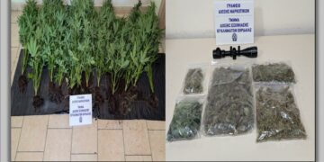 Πτολεμαΐδα: Είχε στο σπίτι του θερμοκήπιο για κάνναβη