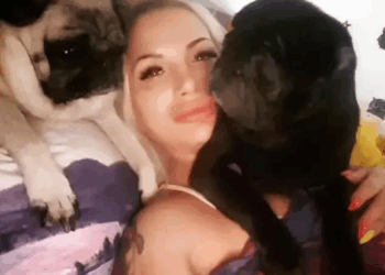 Φιλόζωη φαγώθηκε από τα σκυλιά της