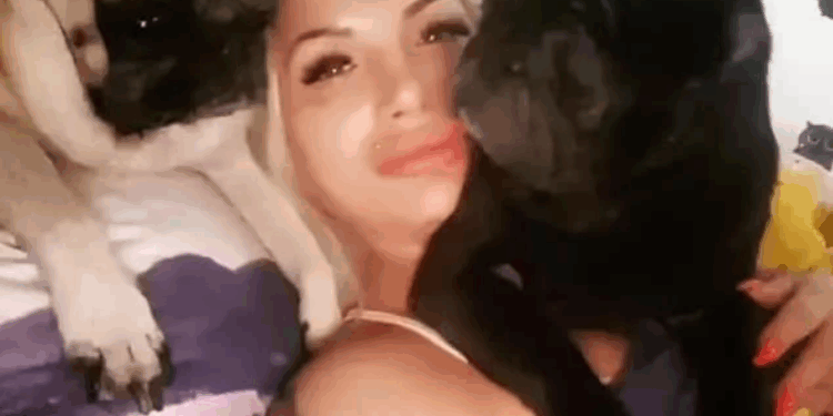 Φιλόζωη φαγώθηκε από τα σκυλιά της