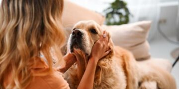 Έρευνα λέει ότι τα κατοικίδια βελτιώνουν τη ζωή μας όσο και ένας σύντροφος – Κυριολεκτικά