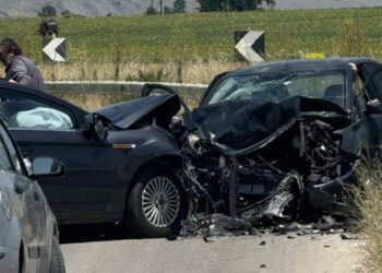 Ξέφυγε από τον κίνδυνο η 38χρονη που επέβαινε στο όχημα του τροχαίου στην παλιά ΕΟ Κοζάνης Φλώρινας δίπλα στον ΑΗΣ Αμυνταίου