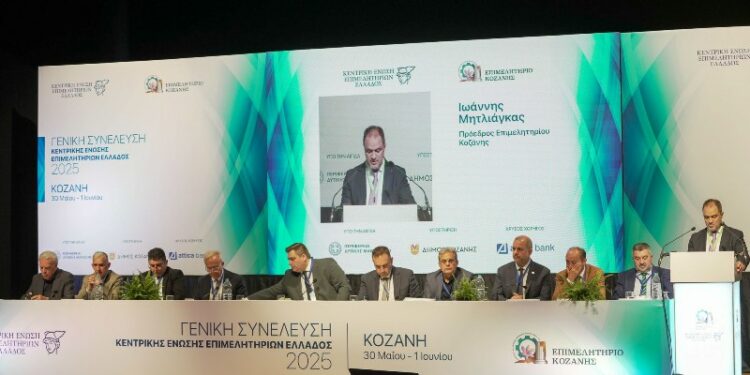 Οι  εργασίες της Γενικής Συνέλευσης είναι διαθέσιμες στο κανάλι you tube του Επιμελητηρίου Κοζάνης 