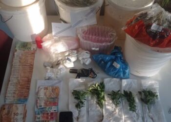 Κοζάνη: Συνελήφθη 33χρονος για διακίνηση ναρκωτικών ουσιών και καλλιέργεια  δενδρυλλίων κάνναβης