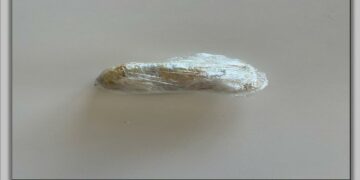 Κοζάνη: Σύλληψη για ναρκωτικά.  Τα πήρε με το ΚΤΕΛ