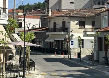 Σιάτιστα: Μπήκαν τα δέντρα στην πλατεία αγοράς και στον κεντρικό δρόμο.  Φωτογραφίες