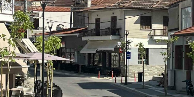 Σιάτιστα: Μπήκαν τα δέντρα στην πλατεία αγοράς και στον κεντρικό δρόμο.  Φωτογραφίες