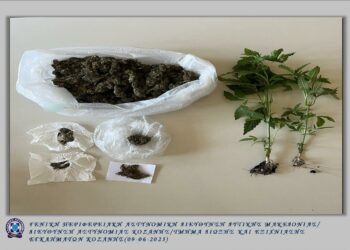 Κοζάνη: Καλλιεργούσε και πουλούσε κάνναβη!!