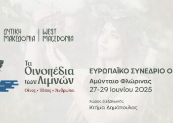 Ζωντανή Μετάδοση Συνεδρίου Οίνου. Δείτε το