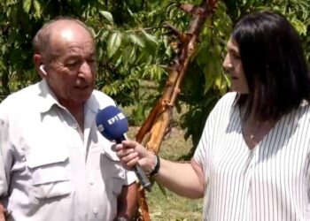 Εορδαία: Αρκούδα σήκωσε το τρακτέρ με τον αγρότη στον αέρα. Βίντεο