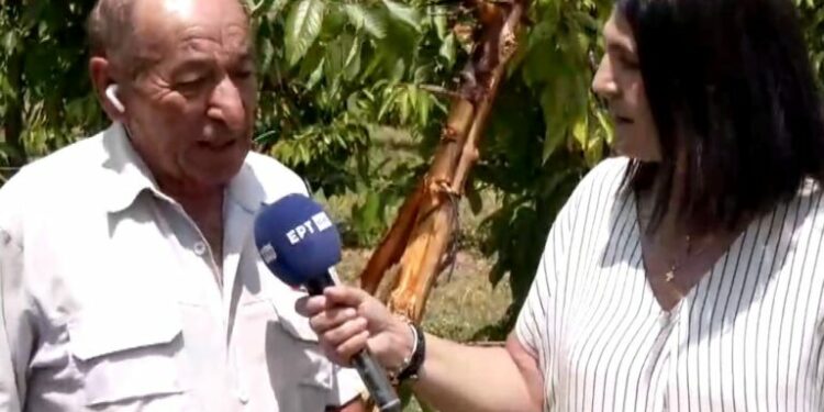 Εορδαία: Αρκούδα σήκωσε το τρακτέρ με τον αγρότη στον αέρα. Βίντεο