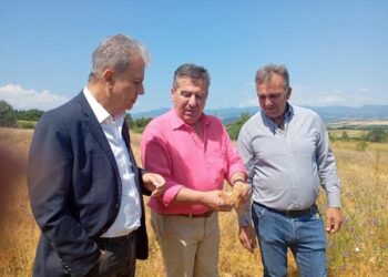 Μεγάλες καταστροφές σε καλλιέργειες από το χαλάζι στο Τσοτύλι – Αυτοψία από τον Περιφερειάρχη Δυτικής Μακεδονίας