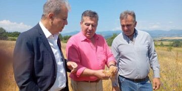 Μεγάλες καταστροφές σε καλλιέργειες από το χαλάζι στο Τσοτύλι – Αυτοψία από τον Περιφερειάρχη Δυτικής Μακεδονίας
