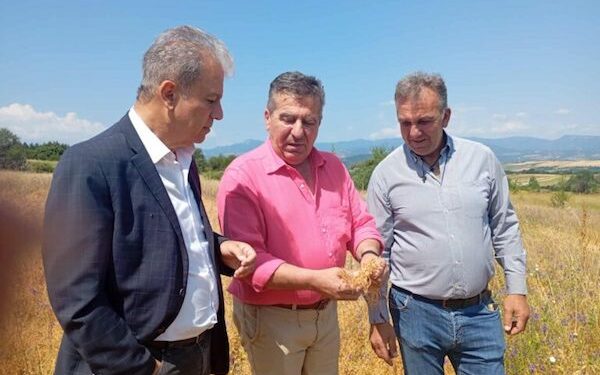 Μεγάλες καταστροφές σε καλλιέργειες από το χαλάζι στο Τσοτύλι – Αυτοψία από τον Περιφερειάρχη Δυτικής Μακεδονίας