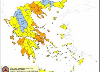 Δήμος Κοζάνης: Απαγόρευση κυκλοφορίας την Πέμπτη 10/7 στο Άλσος Κουρί