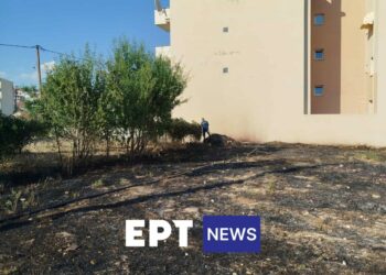 Φωτιά σε οικόπεδο  μέσα  στην πόλη της Κοζάνης