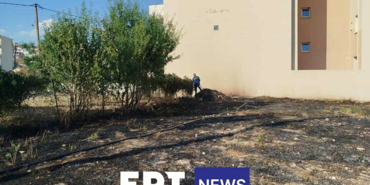 Φωτιά σε οικόπεδο  μέσα  στην πόλη της Κοζάνης