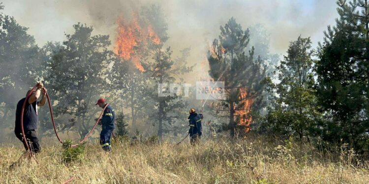 Σε πλήρη εξέλιξη η πυρκαγιά στην Ιεροπηγή Καστοριάς – Ήχησε το 112 – Στη μάχη κατάσβεσης εναέρια μέσα