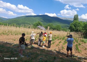 Ευχαριστήριο του Συλλόγου Σισανίου για τα γυρίσματα της εκπομπής ” Κυριακή στο χωριό Ξανά”