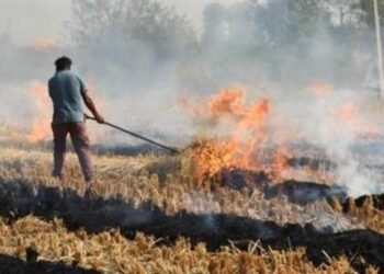 Απαγόρευση καύσης αγροτικών εκτάσεων – υπολειμμάτων καλλιεργειών (καλαμιάς)  