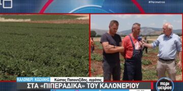 Στα «πιπεράδικα» του Καλονερίου – Το εμπόδιο στις δηλώσεις ΟΣΔΕ