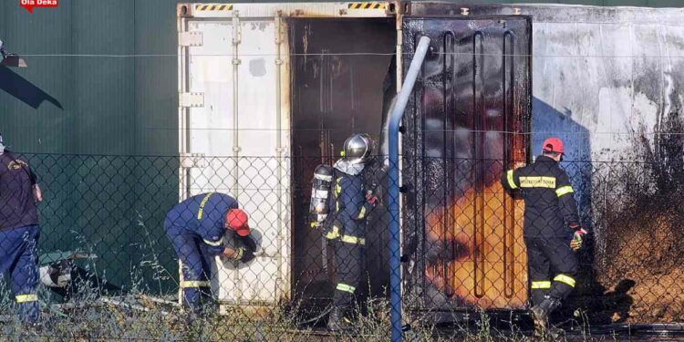 Καστοριά: Πυρκαγιά σε επιχείρηση γουνοδερμάτων κοντά στην Πορειά