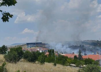 Κοζάνη: Υπό μερικό έλεγχο η φωτιά στην περιοχή Άργιλος. Βίντεο