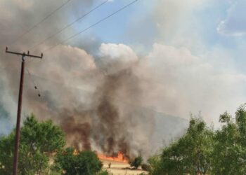 Υπό έλεγχο η πυρκαγιά στα Λιβερά Κοζάνης
