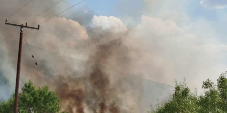Υπό έλεγχο η πυρκαγιά στα Λιβερά Κοζάνης