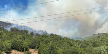 Δεσκάτη: Μεγάλη φωτιά στο βουνό ανάμεσα σε Βουνάσσα και Παλιουριά