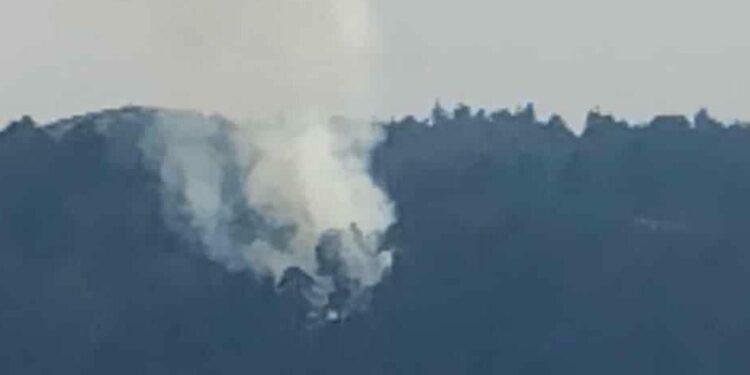 Γρεβενά: Πυρκαγιά σε δασική έκταση στο Μεσολούρι