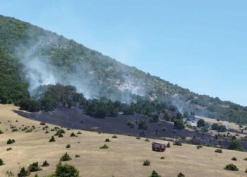 Κοζάνη: Σύλληψη 75χρονου για τη φωτιά στο Δρέπανο