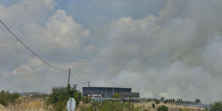 Φωτιά τώρα στην Κοζάνη κοντά στην Πανεπιστημιούπολη – Εκκενώθηκε το Πανεπιστήμιο – Μήνυμα από το 112 (βίντεο)