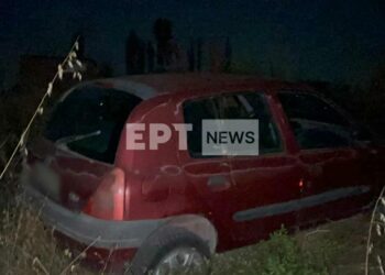 Σοβαρό τροχαίο με τρεις τραυματίες στο Άργος Ορεστικό – Το αυτοκίνητο εξετράπη της πορείας του για να αποφύγει ένα γατάκι