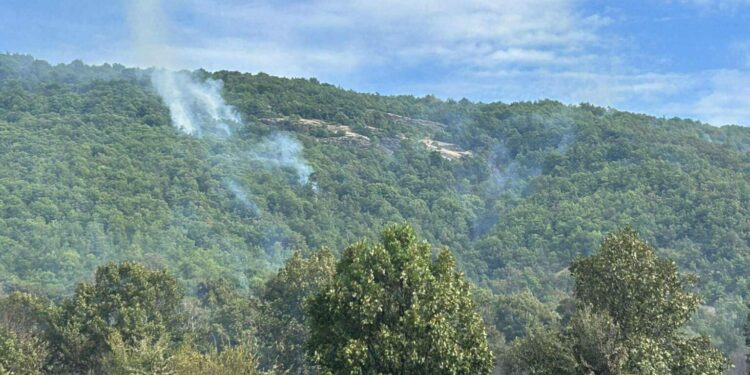 Ενδείξεις εμπρησμού για την πυρκαγιά στο Μακροχώρι Καστοριάς