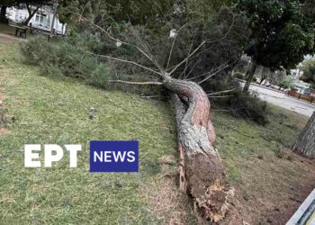 Διακοπές ρεύματος, πυρκαγιές, πεσμένα δέντρα, άφησε πίσω του το Μπουρίνι σε Βόιο, Εορδαία, Κοζάνη,  Γρεβενά