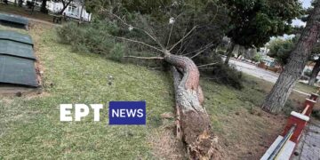 Διακοπές ρεύματος, πυρκαγιές, πεσμένα δέντρα, άφησε πίσω του το Μπουρίνι σε Βόιο, Εορδαία, Κοζάνη,  Γρεβενά