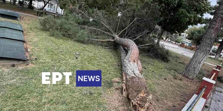 Διακοπές ρεύματος, πυρκαγιές, πεσμένα δέντρα, άφησε πίσω του το Μπουρίνι σε Βόιο, Εορδαία, Κοζάνη,  Γρεβενά