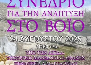Βόιο: Μια κραυγή για αναγέννηση. Η ελπίδα επιστροφής στο Βόιο. Συνέδριο για την ανάπτυξή του