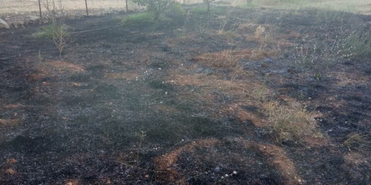 Σιάτιστα: Πυρκαγιά απέναντι από το μνημείο Φαρδύκαμπου. Φωτογραφίες