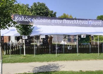 Γρεβενά: Όλα έτοιμα για την 19η Πανελλήνια Γιορτή Μανιταριού. Βίντεο