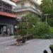 Κοζάνη: Ξεριζώθηκε δέντρο στον πεζόδρομο!!