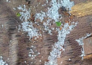 Χαλάζι σε μέγεθος φουντουκιού έπληξε καλλιέργειες στον Αντιγόνο Αμυνταίου (βίντεο)