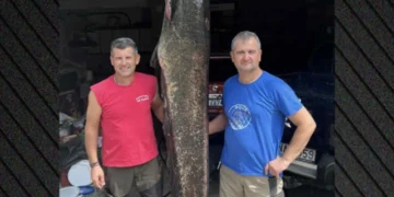 Κοζάνη: Ψαράδες έπιασαν γουλιανό 100 κιλών στη λίμνη Πολυφύτου – Δείτε βίντεο