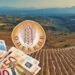 ΟΠΕΚΕΠΕ: Πού πήγαν τα 22,6 εκατ. ευρώ – Σχεδόν 1 εκατομμύριο σε 72χρονο από την Κοζάνη, 620.000 ευρώ σε 69χρονο από τα Τρίκαλα