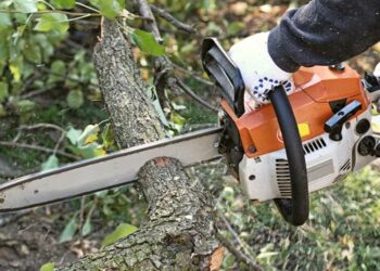 Δημοτικός υπάλληλος ξυλοκοπήθηκε ενώ έκοβε δέντρα