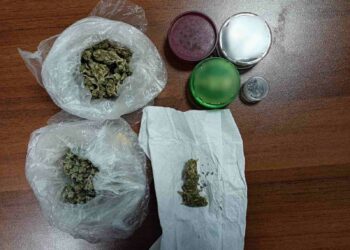 Γρεβενά: Δύο συλλήψεις για καλλιέργεια δενδρυλλίων κάνναβης