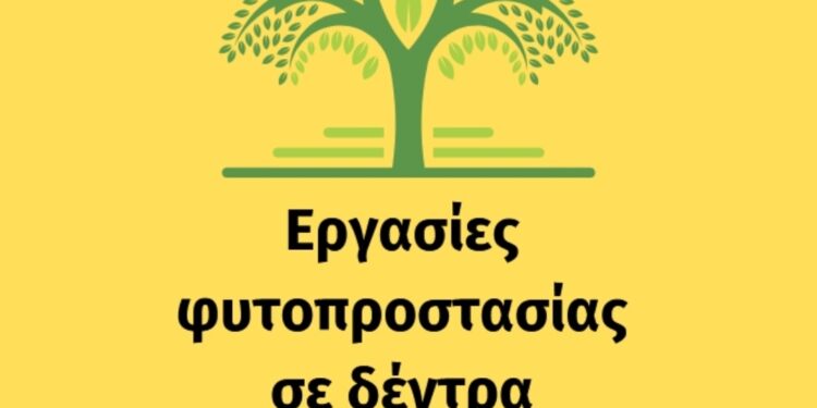Εργασίες φυτοπροστασίας σε δέντρα στον Δήμο Κοζάνης