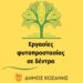 Εργασίες φυτοπροστασίας σε δέντρα στον Δήμο Κοζάνης