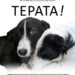 «Τέρατα!», η νέα ταινία του Νίκου Κουρού – trailer